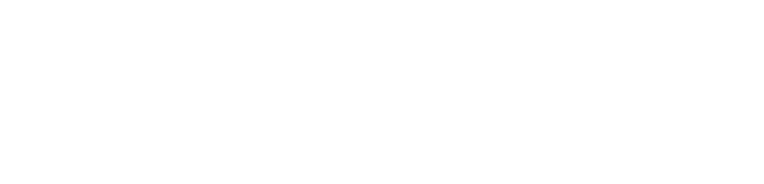 lasnetwork
